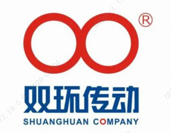 双环传动
